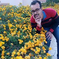 محمد عمر