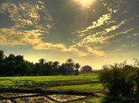 محمدرمضان أبو العطا