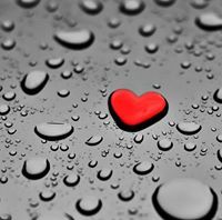 سمو العلياء