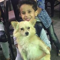 Abo Omer