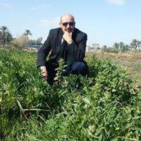 يوسف العلاق