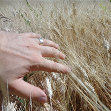 Andras