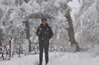 Perfectionist Tangri