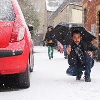 ناصر الجابري