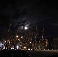 Цэцэнбилэг Чойжилсүрэн