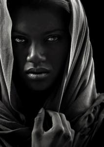 Alaa Ahmed