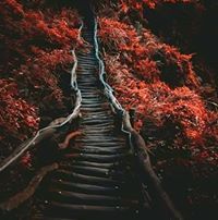 شهاب بو مرجان