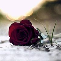 عذبة الأطباع