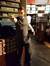 Matthew Dorkings