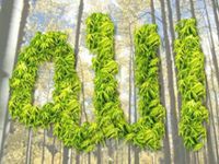 عبدالسلام حسن