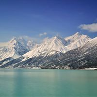 محمد الجزار