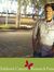 Arun Fr...