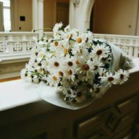 Haneen Hassan