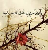 Hanin Mefleh