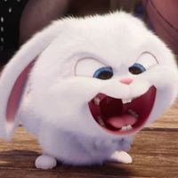 Ngọc Trương
