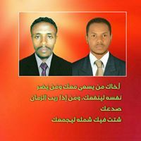 فتحي حامدنارتي