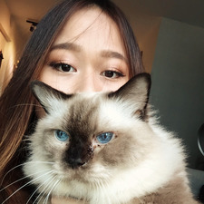 eeveepoo
