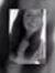 Kinzly ...