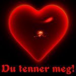 منذر الشقير