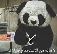 Mohamed Maher