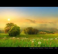 محمد العايبي