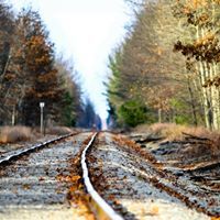 غازي الزواوي