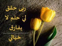 وسام النيدانى