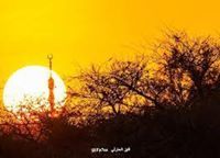 محمد عبدالرحمن إبراهيم