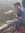 Rahul M...