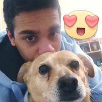 אביחי בן זקן