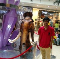 Pridhvi Krishna