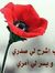 Omar Al...
