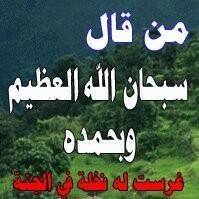 أبايزيد محمد