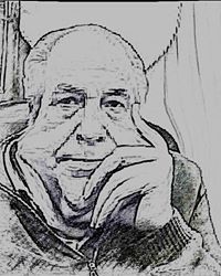 Raul Sapenabrugada II