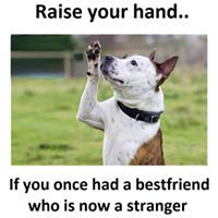 Isingoma Christopher