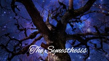 _ The Synesthesis _