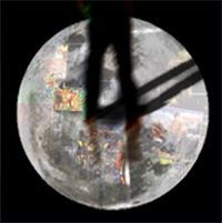 Carlos R Campos Núñez