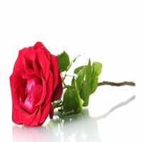 جبرني الوقت