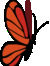Literacy Alliance
