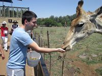 Александър Господинов