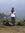 Wahyu D...