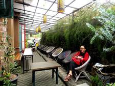 Diadjeng Laraswati H