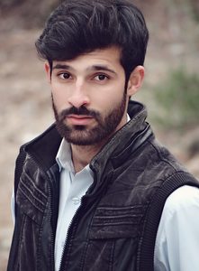 Sultan Ahmad