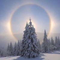 سعد الشمراني