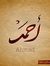 Ahmed H...
