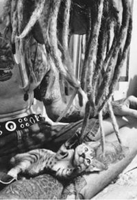 Yàçiñé Hâmmôûdâ