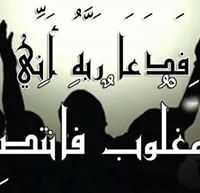 Ahmed Alshref