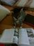 Josephine