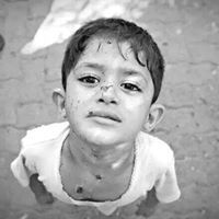 أسامه القاعود