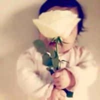 تقوى المحمد